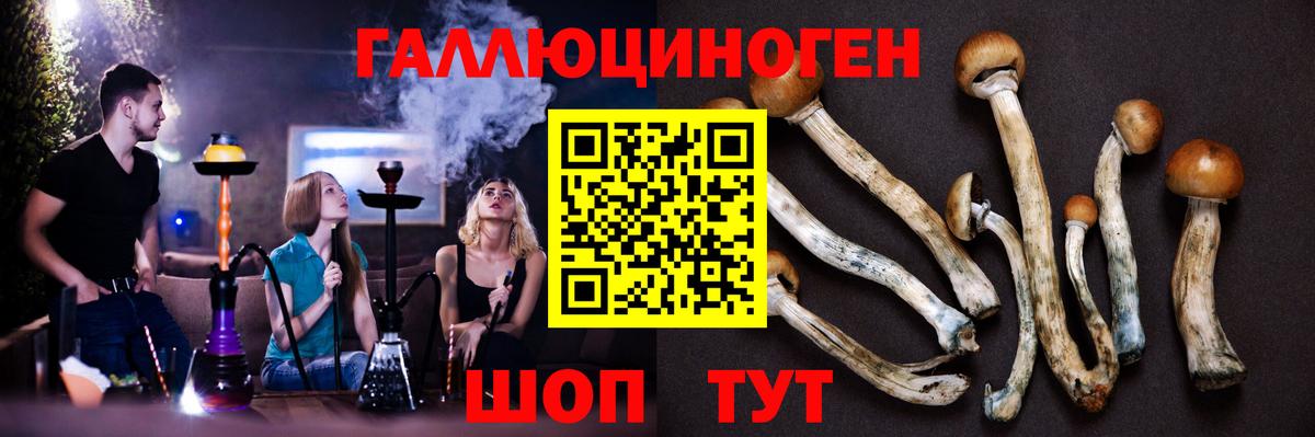 Галлюциногенные грибы мицелий Владикавказ